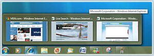 screenshot_pinned